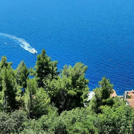 Blue Dream Pisak * Makarska